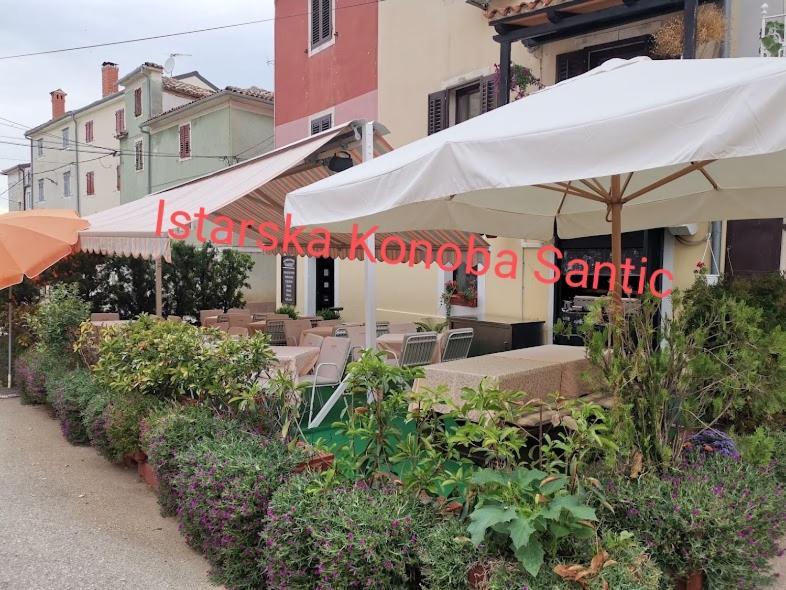 Ferienwohnung Aisha Brtonigla Exterior foto
